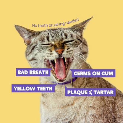 🔥Seurico™ Teeth Cleaning Spray with Oral Probiotics for Dogs & Cats