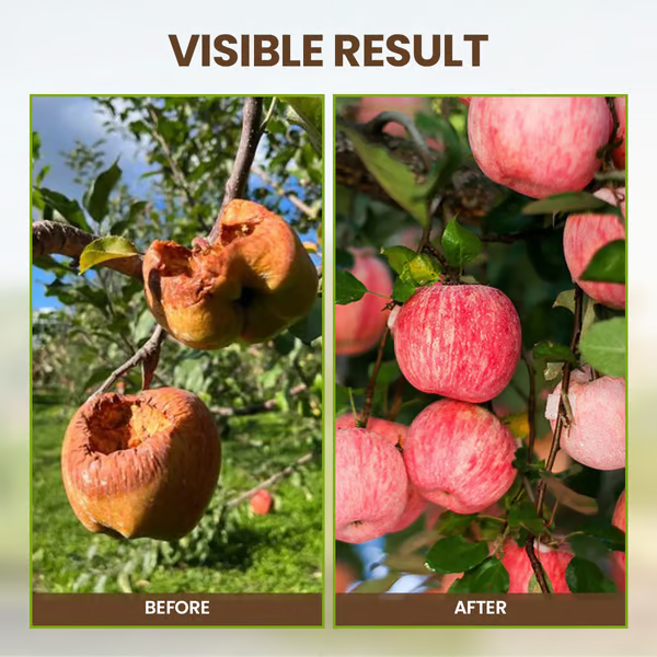 🌱 Zakdavi™ Soil Activated Treasure – The Secret to Faster, Healthier Plant Growth!