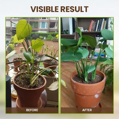 🌱 Zakdavi™ Soil Activated Treasure – The Secret to Faster, Healthier Plant Growth!