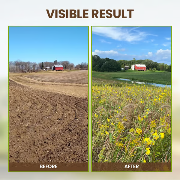 🌱 Zakdavi™ Soil Activated Treasure – The Secret to Faster, Healthier Plant Growth!