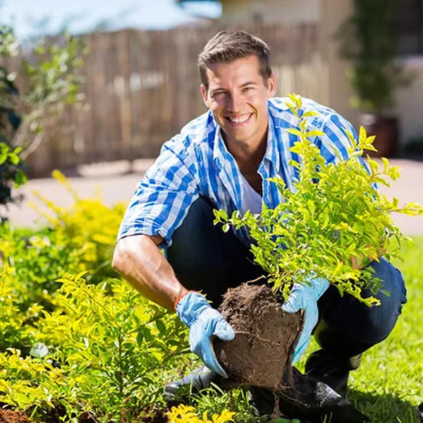 🌱 Zakdavi™ Soil Activated Treasure – The Secret to Faster, Healthier Plant Growth!