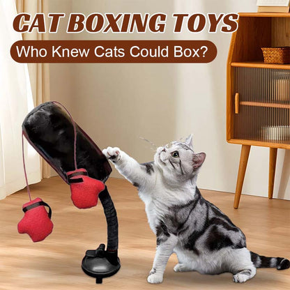 🐾Cat Boxing Toys🐾