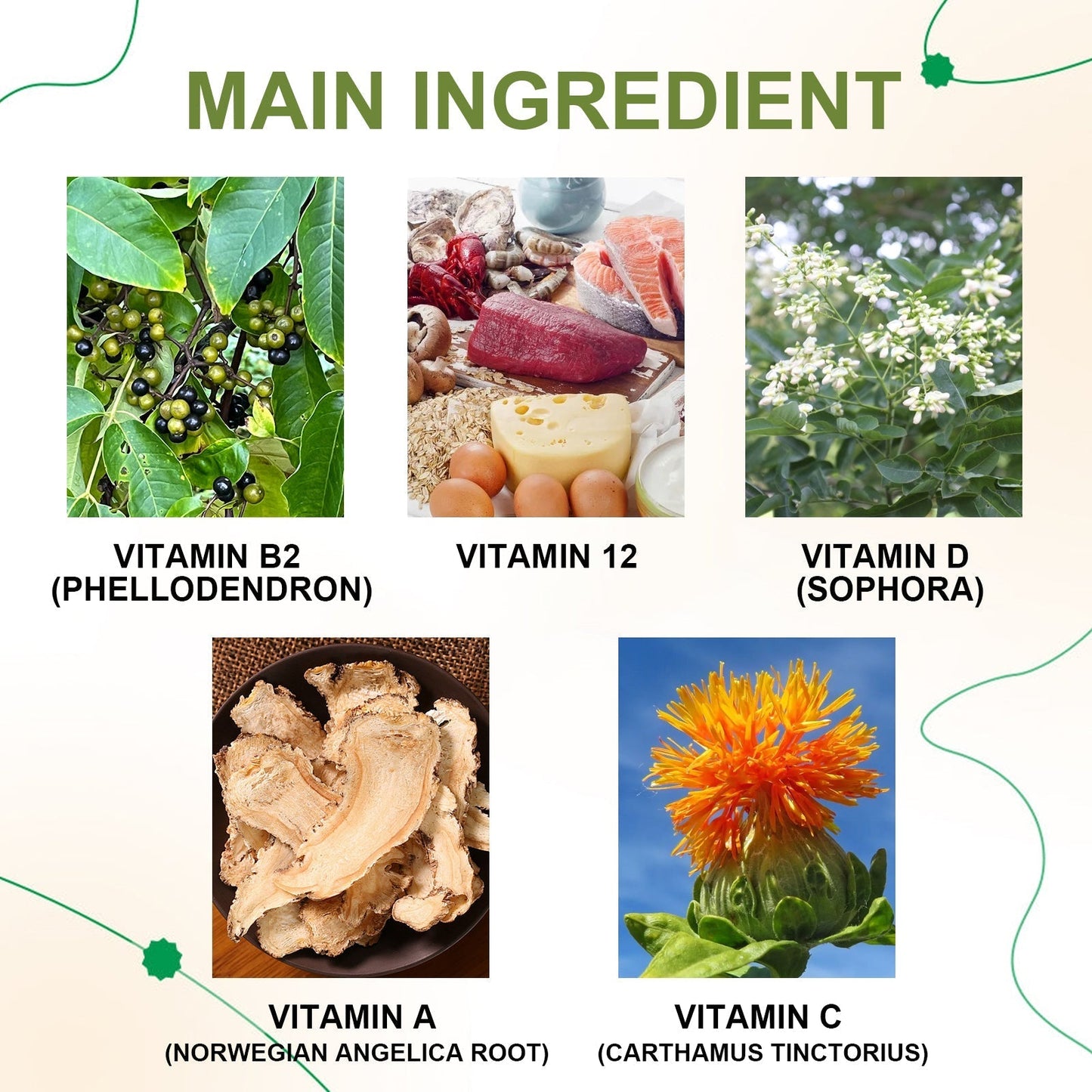 ODALIT™ Vein Therapy Cream – Natural Relief for Varicose & Spider Veins 🌿✨