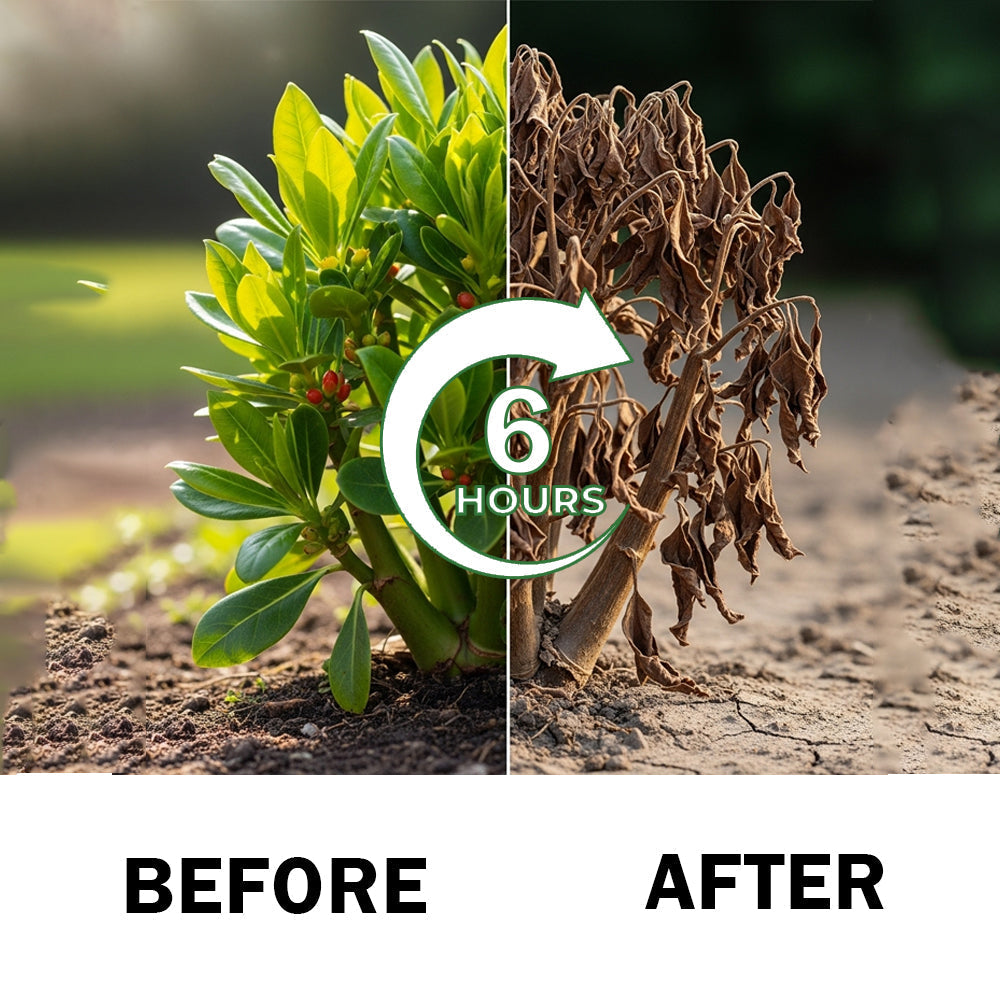 🌿 EPA APPROVED & AUTHORIZED STORE | 🔥 Hot Sale – 50% OFF 🌿 | ODEIUN™ 2 in 1 Max Power Herbicide