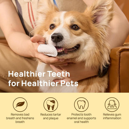 Natural Pet Dental Finger Wipes