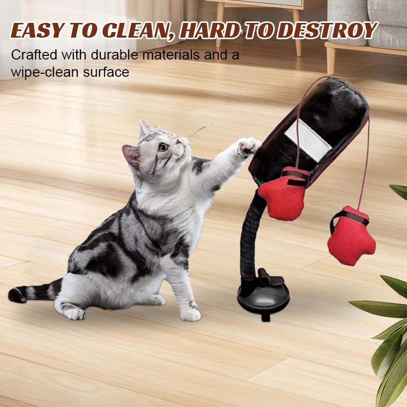 🐾Cat Boxing Toys🐾
