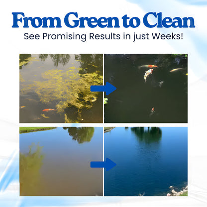 🌟 Seurico™ Aqua-Guardian – Crystal-Clear Water in 12 Hours, Healthier Fish!
