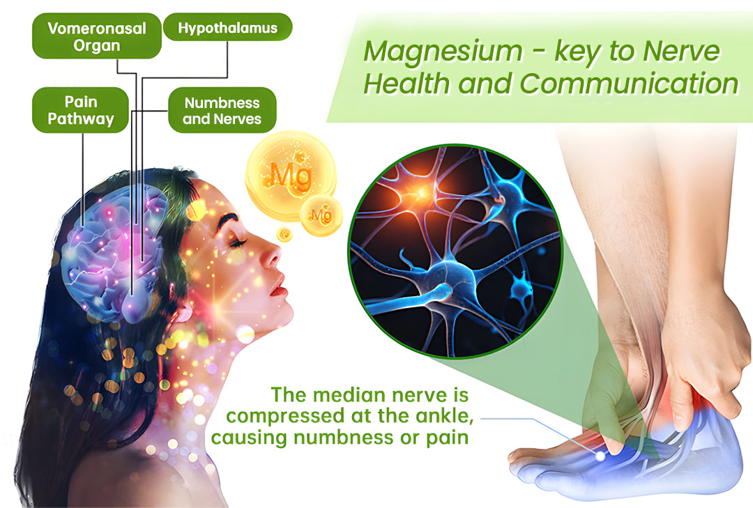 🎁NEGUSY™ Magnesium & Peppermint Arthritis & Bone Healing Cream – Fast Pain Relief & Joint Support