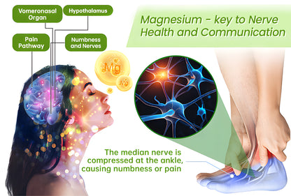 🎁NEGUSY™ Magnesium & Peppermint Arthritis & Bone Healing Cream – Fast Pain Relief & Joint Support