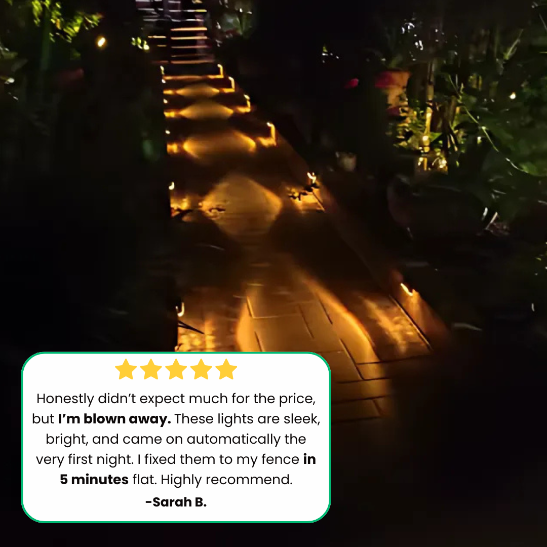 Zakdavi™ | Built to Withstand the Elements, Made to Light Up American Backyards