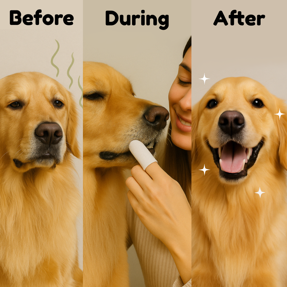 Natural Pet Dental Finger Wipes