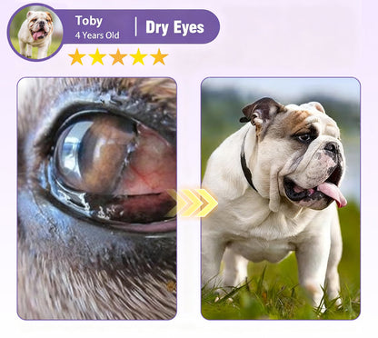 👩‍⚕️Zakdavi™ NanoCare Pet Eye Drops ☑️ TGA Approved | Relieves Conjunctivitis, Dry Eyes, Cataracts, and Keratitis🐶 🐈️