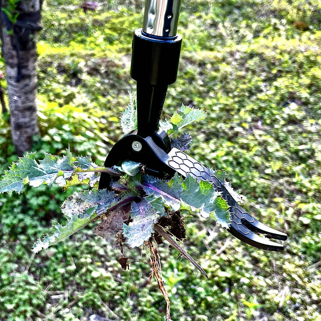 🌱 Bend-Free Weeding Is Here: The Last Tool You’ll Ever Need for a Perfect Lawn