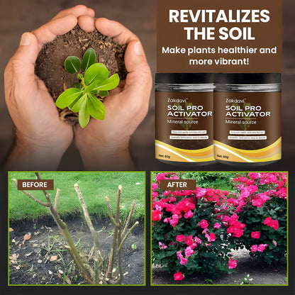 🌱 Zakdavi™ Soil Activated Treasure – The Secret to Faster, Healthier Plant Growth!
