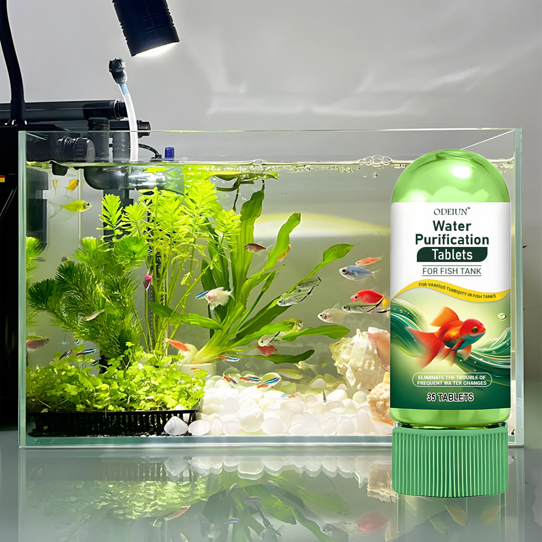 💥 Clear Your Aquarium Fast – Remove Algae, Odor & Sludge Effortlessly!
